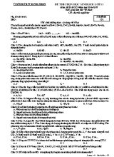 Đề thi chọn học sinh giỏi môn Hóa học Lớp 11 - Mã đề 132 - Năm học 2016-2017 - Trường THPT Hưng Nhân